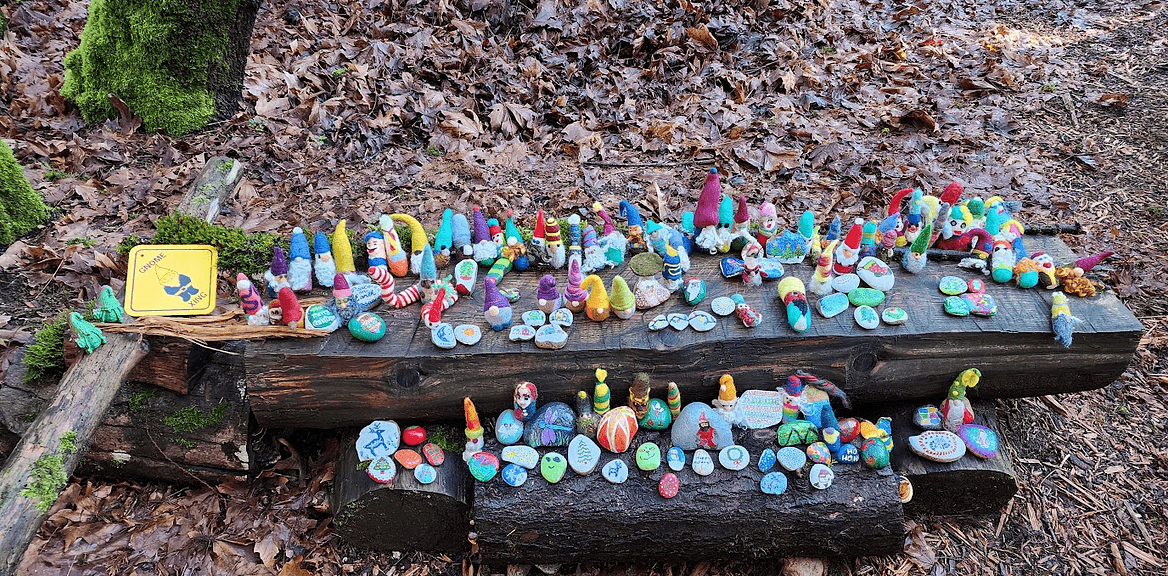 Gnome Picture
