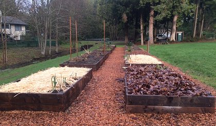 Mulching Community Gardens